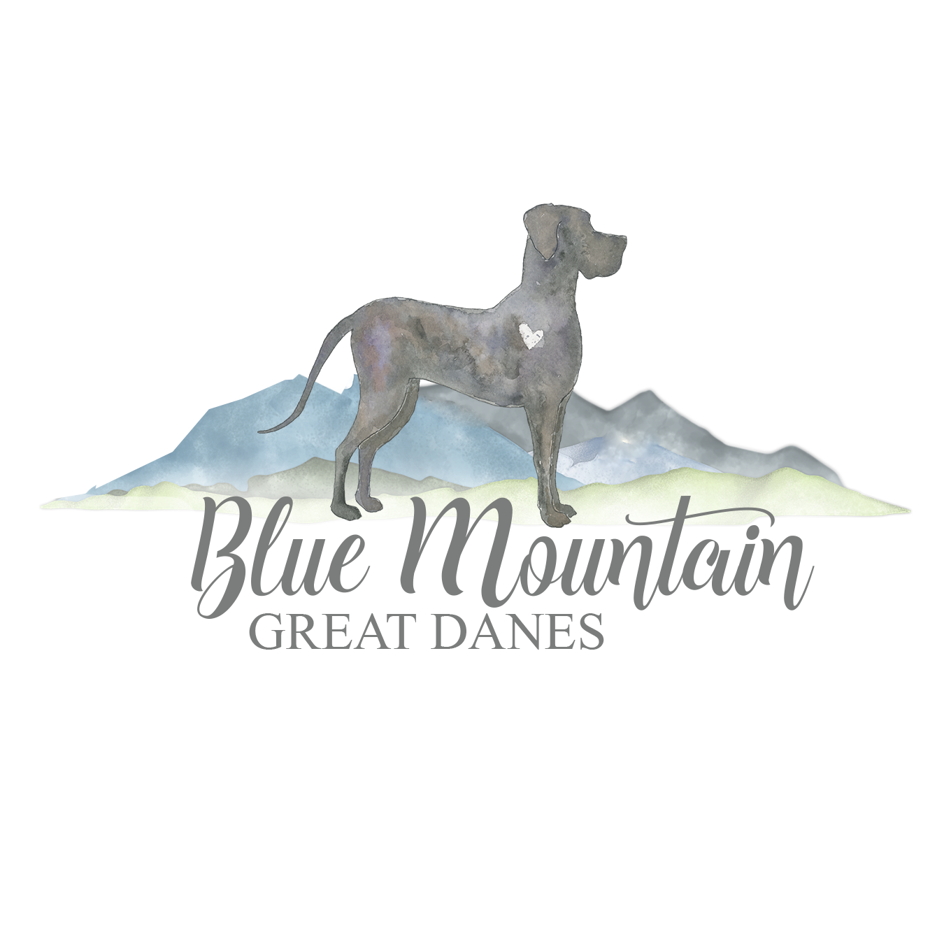 Blue Mountain Great DANES