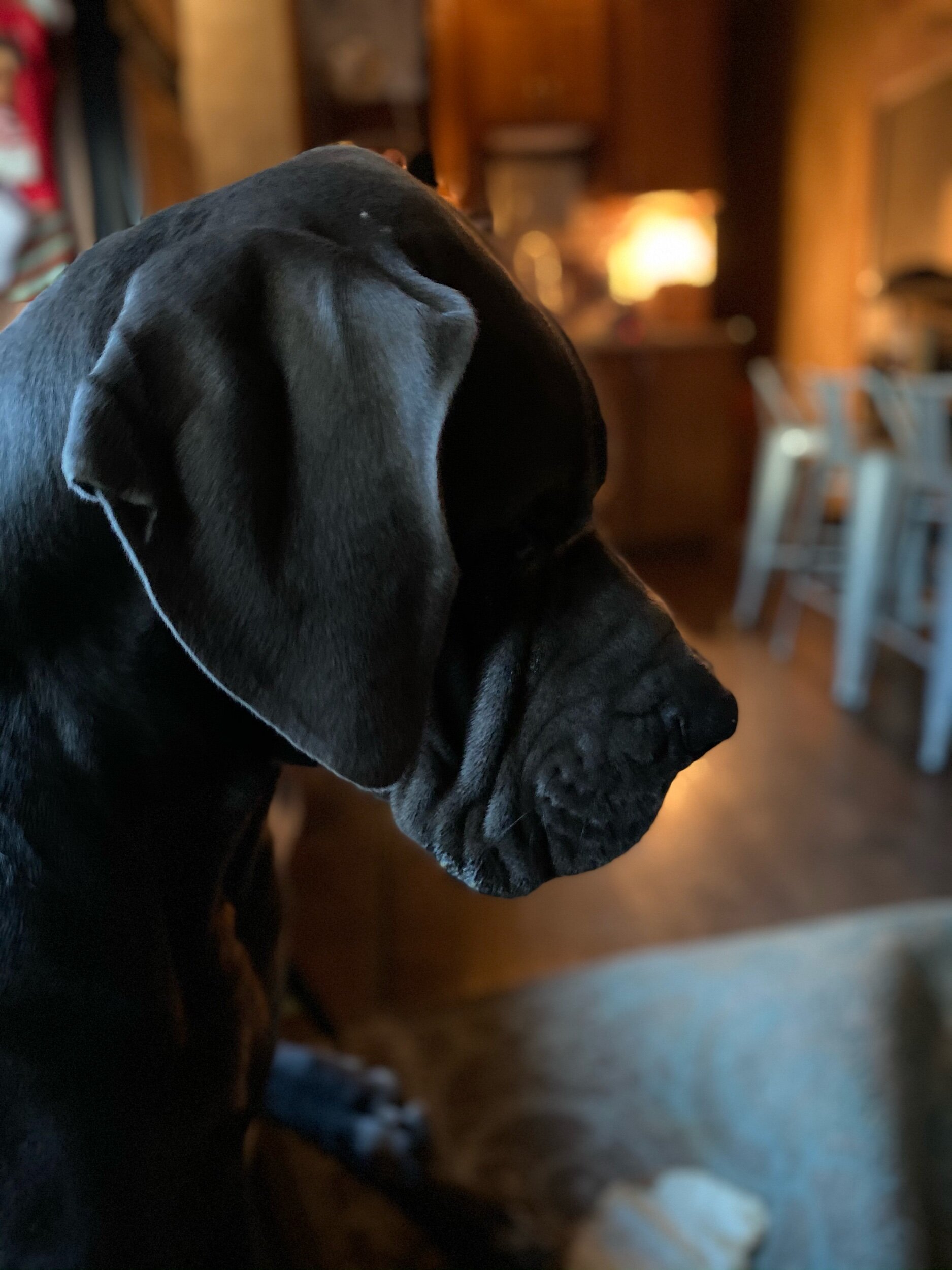 IMG_4076.jpeg