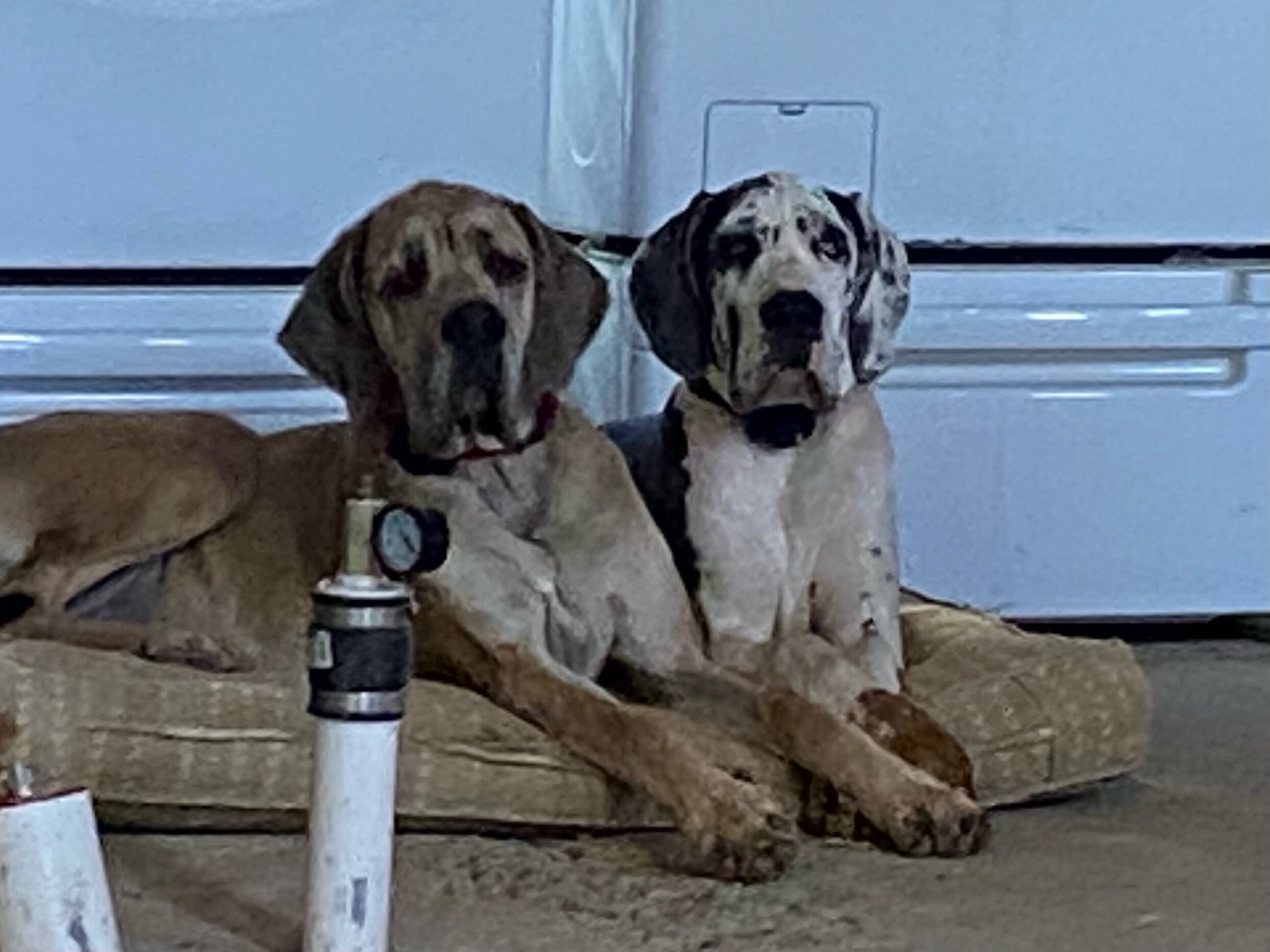 IMG_6299.jpeg